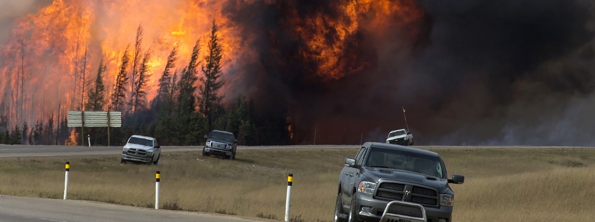 A large forest fire with trucks parked along the highway