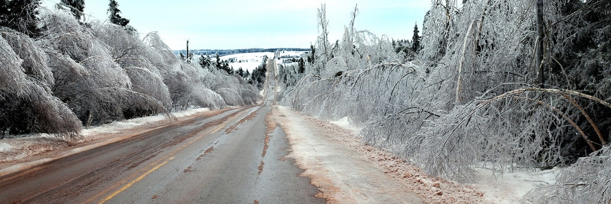 Trees covered with ice line a highway during the winter