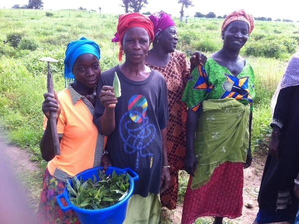 Barrow Kunda women gardeners display some of their crops