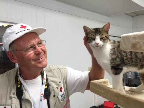 There are still about 150 animals at the shelter’s new donated space