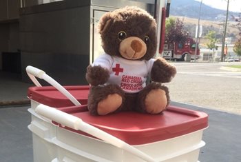 One of the Red Cross teddy bears