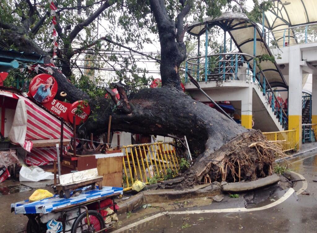 Damages as a result of Typhoon Haiyan. Photo: Philippine Red Cross