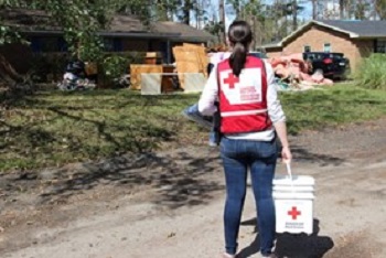 A woman in a Red Cross vest carrying a white bucket with Red Cross logo looking at a fallen tree