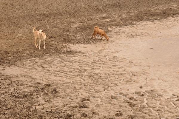 A dried river bed
