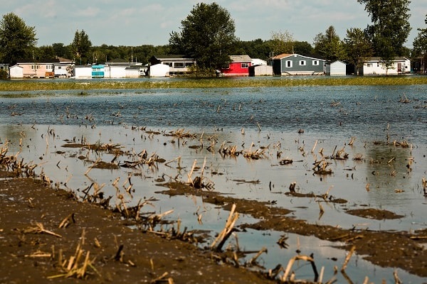 Flooded field with houses