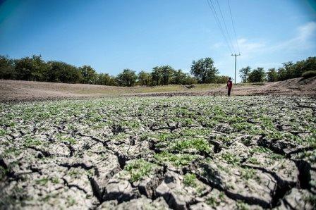 Severe drought in Mozambique