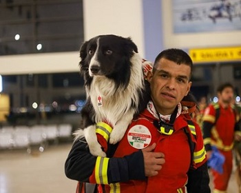 A man in a Red Cross jacket carrying a black and white dog on his shoulders