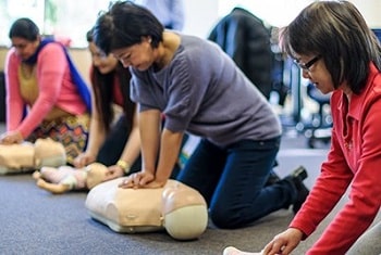 Four women are kneeling on the floor of a classroom, practicing CPR skills during a training course. Their hands are making chest compressions on plastic manikins