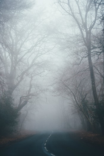 A foggy road