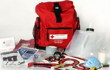 An emergency kit with supplies displayed