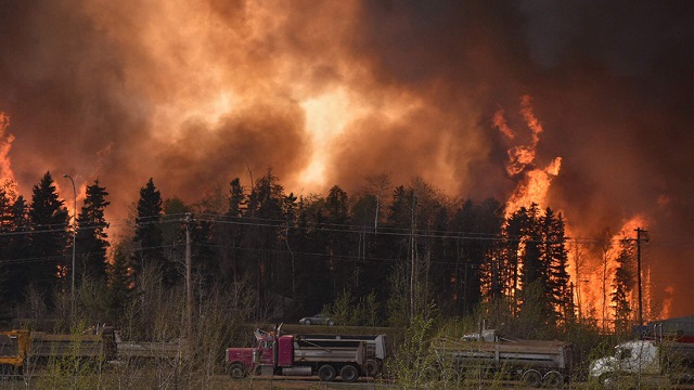 Large trucks parked alongside road with fire destroying forest in the background.