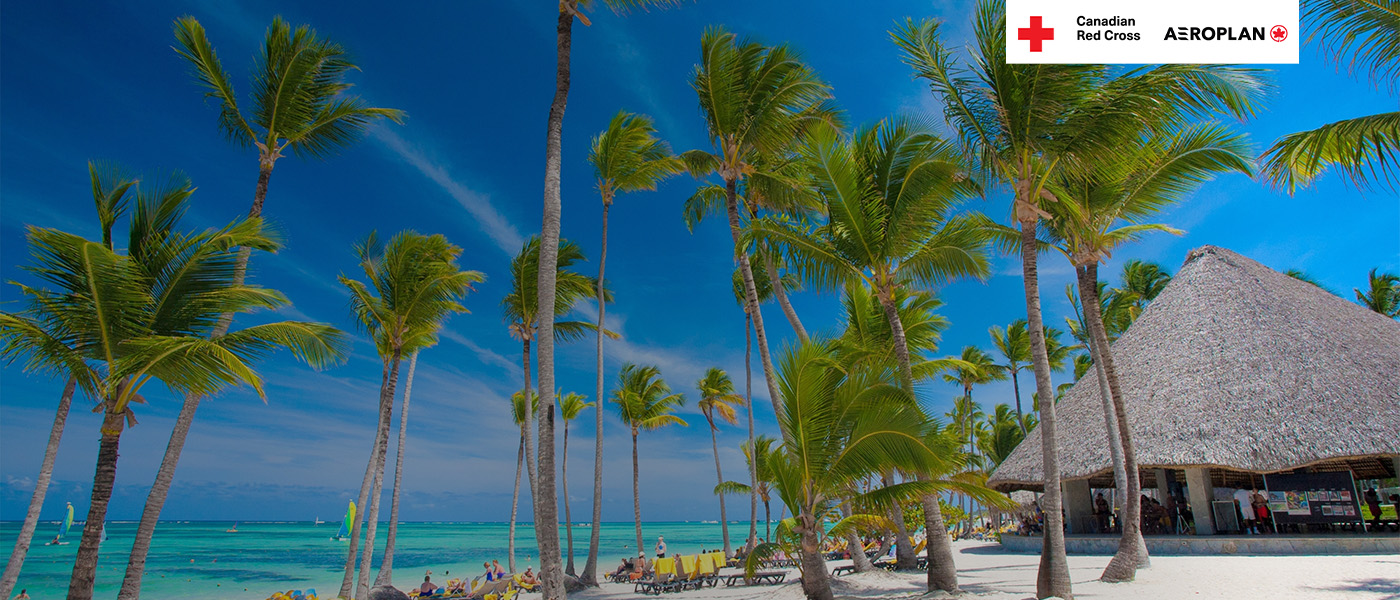 Several beachside palm trees swaying in a gentle tropical breeze.