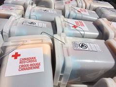 Flood recovery kits from the Canadian Red Cross. 