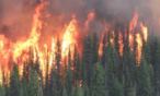 Wildfire burning in British Columbia