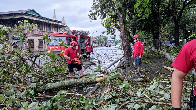 Red Cross people clearing fallen tree off flooded street