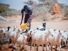 The worst drought in decades threatens to leave tens of millions of people in the region of eastern and southern Africa without enough food