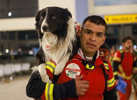 A man in a Red Cross vest carrying a black and white dog on his shoulder