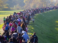 Line of Syrian refugees into Germany