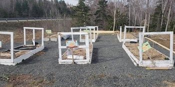 Community gardens with boxes of gardening patches.
