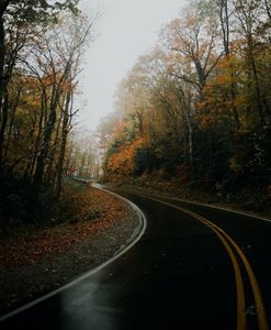 A wet road in fall time