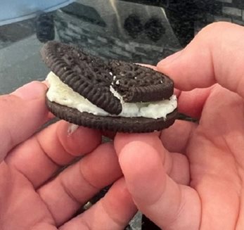 A child holding a broken Oreo cookie