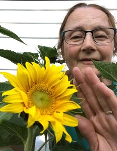 Bonnie Kell pictured in her garden with a sunflower