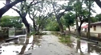 Damage from cyclone