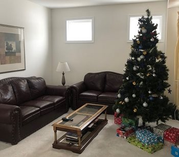 A Christmas tree pictured standing in a living room with two couches.