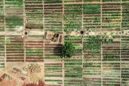 An aerial view of dry farmland