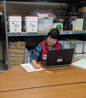 Volunteer Brandy at a laptop